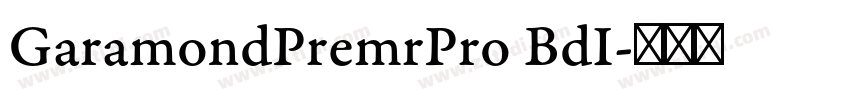 GaramondPremrPro BdI字体转换